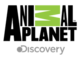 Animal Planet schedule